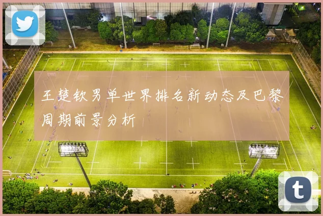 王楚钦男单世界排名新动态及巴黎周期前景分析